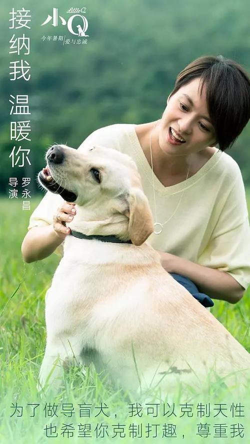 日本宫崎大学学位证电子图